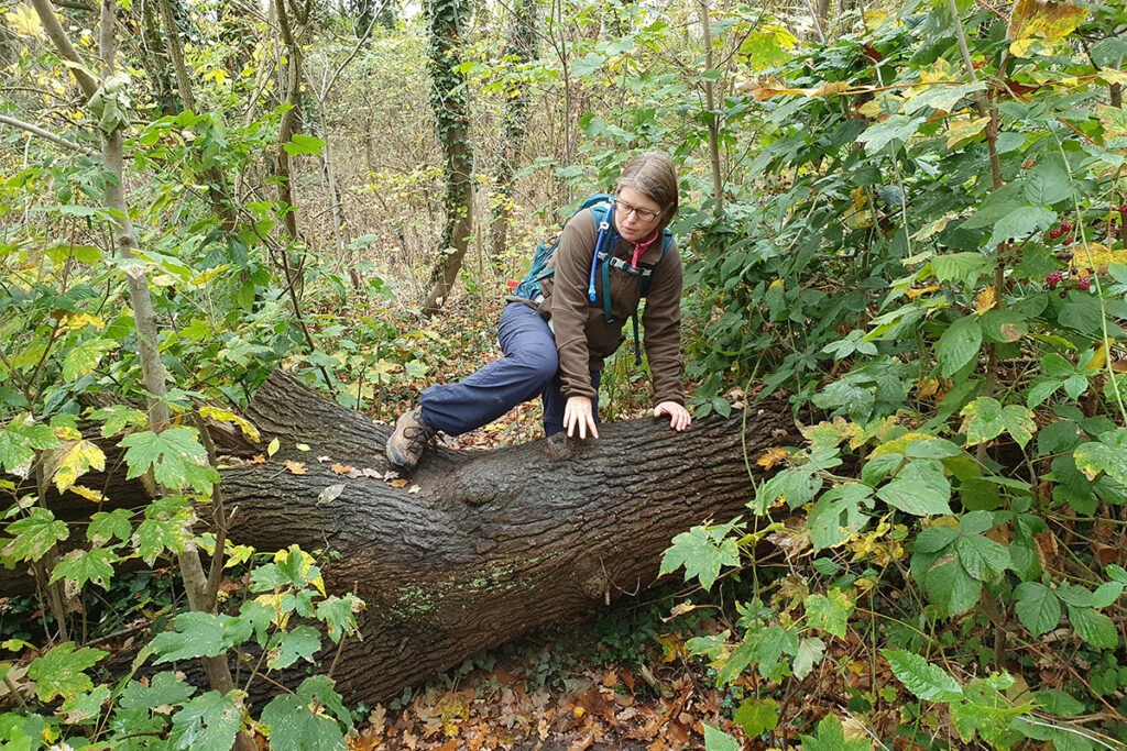 Dutch Mountain Trail, summit 7, Limburg, Nederland, België