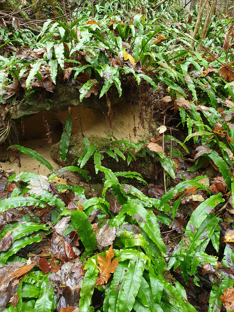Dutch Mountain Trail, summit 7, Limburg, Nederland, België
