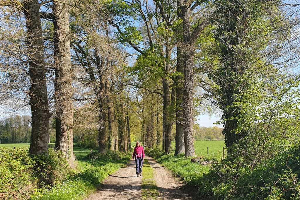 Twente, Overijssel, Nationaal Landschap, De Lutte, Oldenzaal