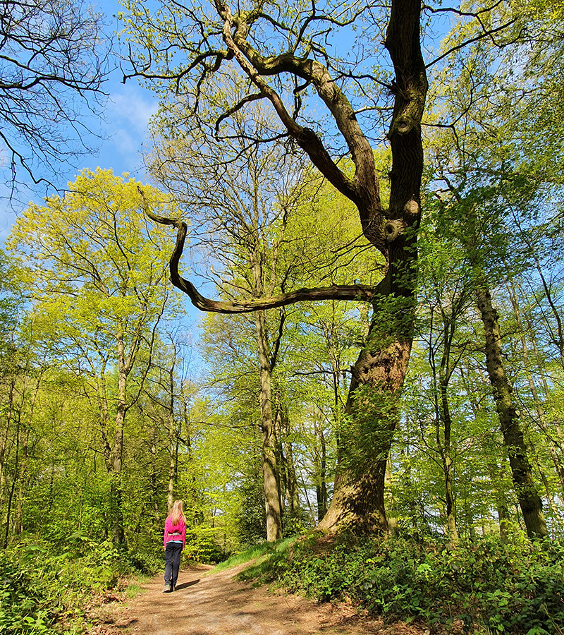 Twente, Overijssel, Nationaal Landschap, De Lutte, Oldenzaal