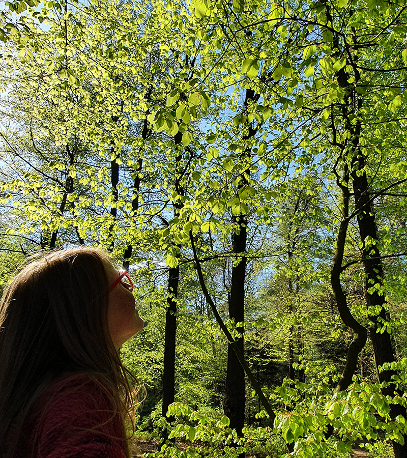 Twente, Overijssel, Nationaal Landschap, De Lutte, Oldenzaal