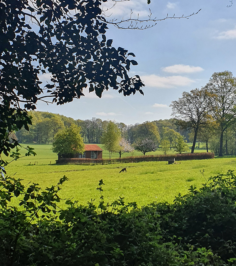 Twente, Overijssel, Nationaal Landschap, De Lutte, Oldenzaal