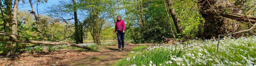 Twente, Overijssel, Nationaal Landschap, De Lutte, Oldenzaal