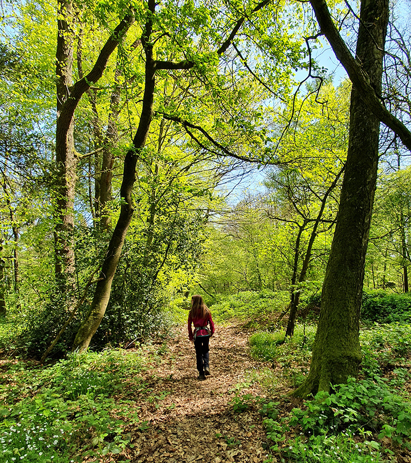 Twente, Overijssel, Nationaal Landschap, De Lutte, Oldenzaal