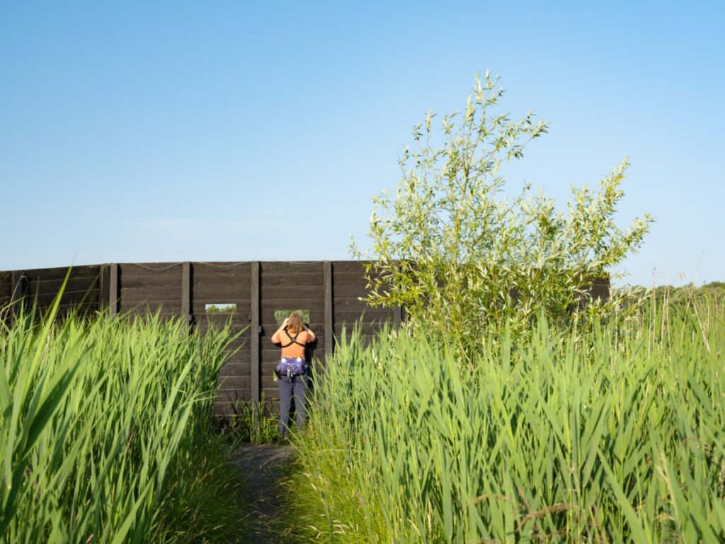 zouweboezem, utrecht, vogels, vianen, lexmond, zuid-holland