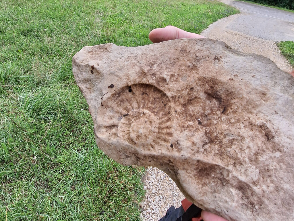 Duitsland, Beieren, Altmuhltal, panoramaweg, toptrail, naturpark, Kelheim, Eichstätt, Dolnnstein, Essing, Mörnsheim, Pappenheim, rotsen, Twaalf Apostelen, Weltenburg, fossiel