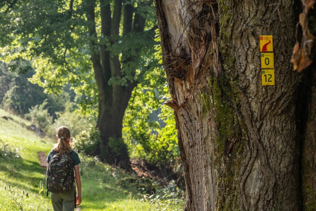 Duitsland, Beieren, Altmuhltal, panoramaweg, toptrail, naturpark, Kelheim, Eichstätt, Dolnnstein, Essing, Mörnsheim, Pappenheim, rotsen, Twaalf Apostelen, Weltenburg