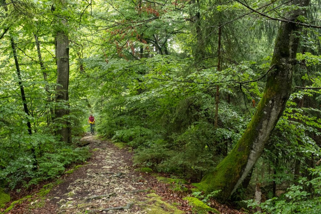 Duitsland, Beieren, Altmuhltal, panoramaweg, toptrail, naturpark, Kelheim, Eichstätt, Dolnnstein, Essing, Mörnsheim, Pappenheim, rotsen, Twaalf Apostelen, Weltenburg