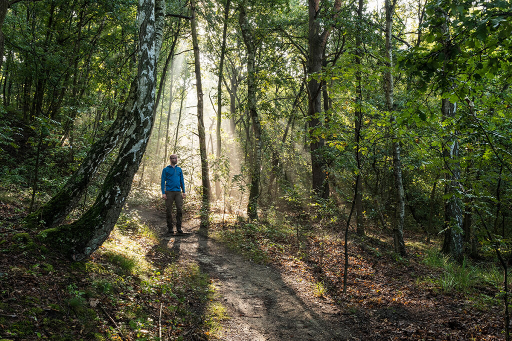 de Teut, Belgie, Kempisch plateau, Vlaanderen