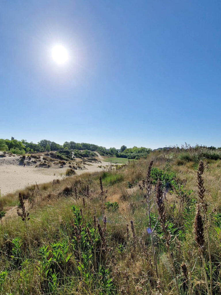 ter yde, Oostduinkerke, Belgie