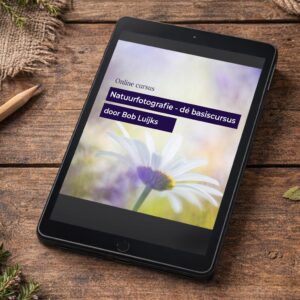 Online cursus Natuurfotografie – dé basiscursus