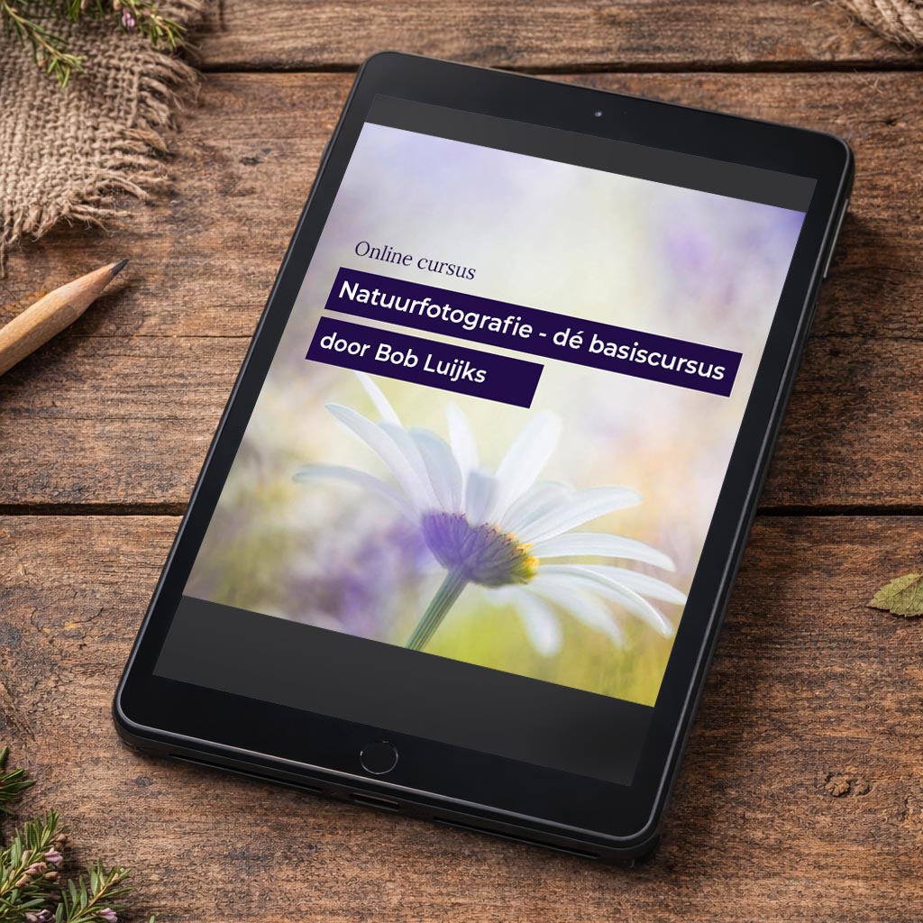 Online cursus Natuurfotografie – dé basiscursus