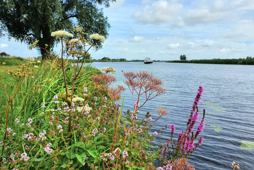 ijsseldelta, christoffelpad, Wieden, weerribben, Overijssel, Genemuiden, Hasselt, Vollenhove