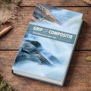 Grip op compositie
