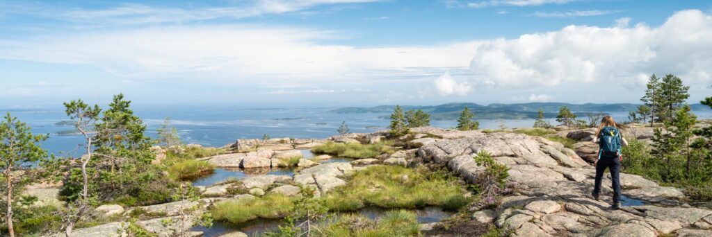 hoga kusten, zweden, skuleskogen