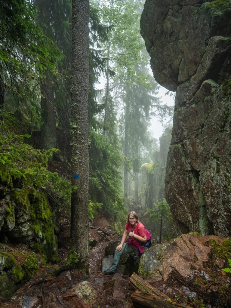 hoga kusten, zweden, skuleskogen