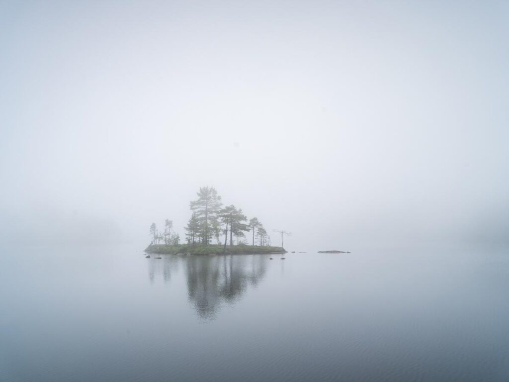 hoga kusten, zweden, skuleskogen