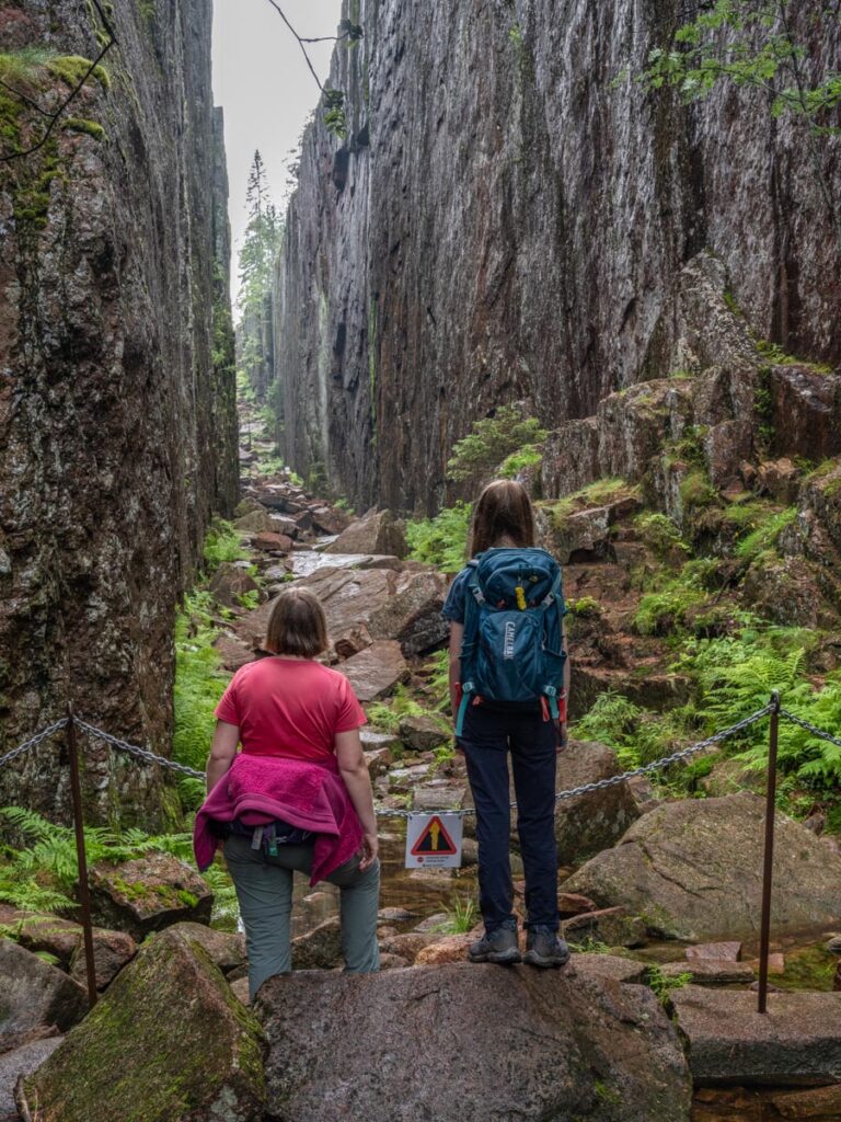 hoga kusten, zweden, skuleskogen