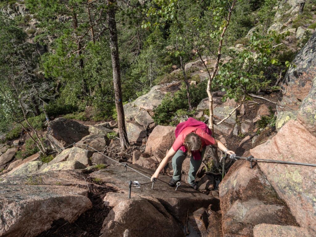 hoga kusten, zweden, skuleskogen