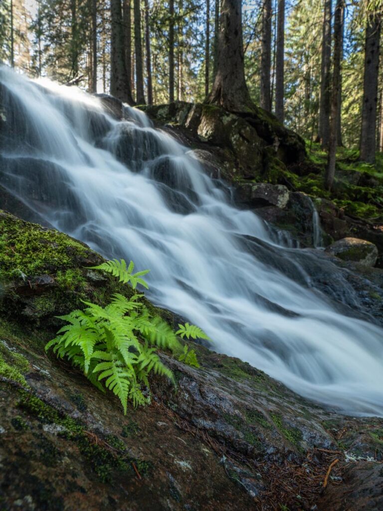 hoga kusten, zweden, skuleskogen