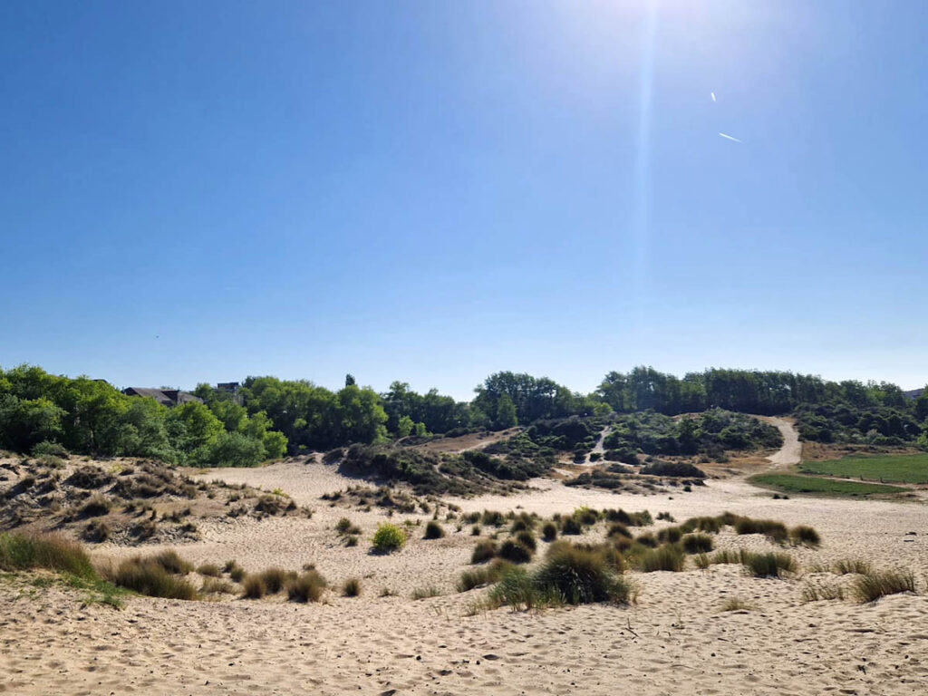 Karthuizerduinen, ter yde, Oostduinkerke, Belgie
