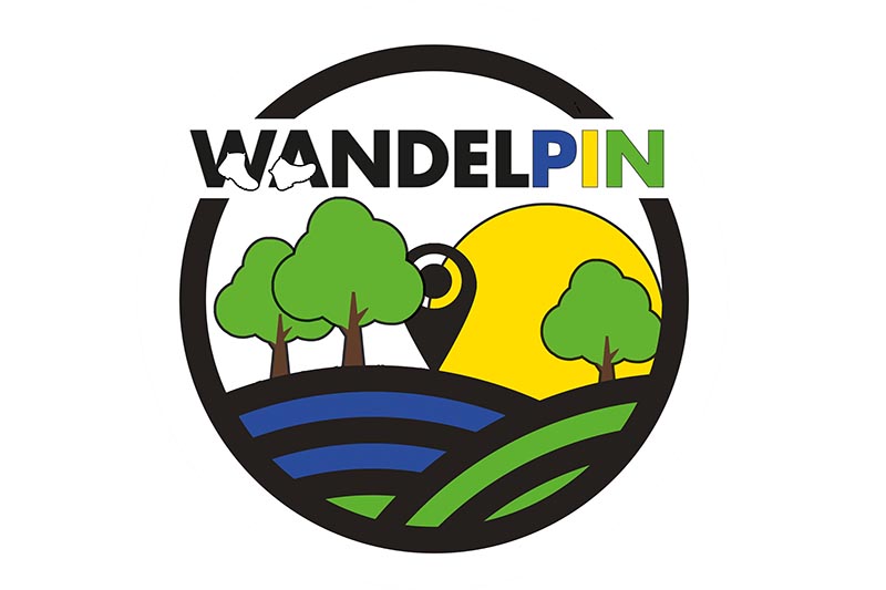 wandelpin