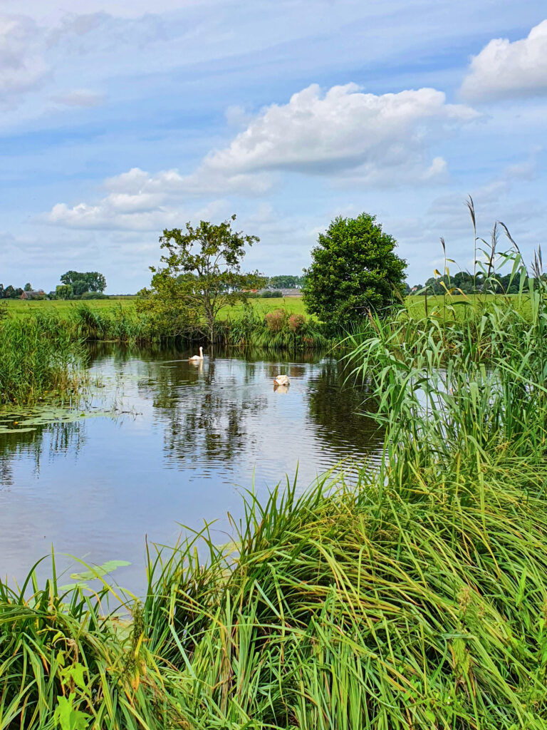 ijsseldelta, christoffelpad, Wieden, weerribben, Overijssel, Genemuiden, Hasselt, Vollenhove