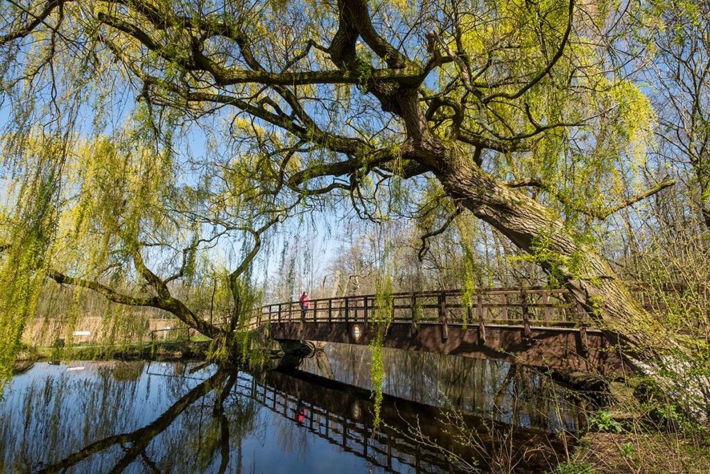 wandelroute voor wandelen in duitsland over de grens.