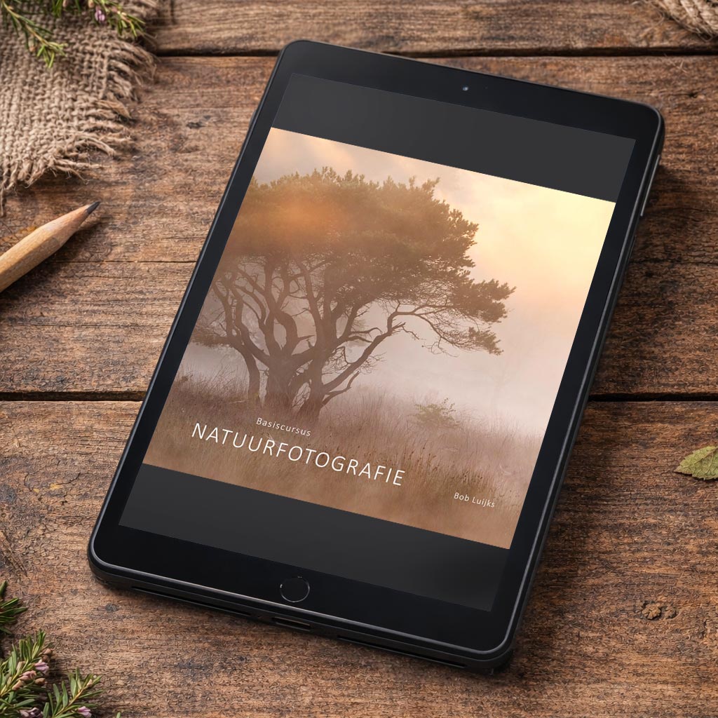 E-Book Basiscursus natuurfotografie