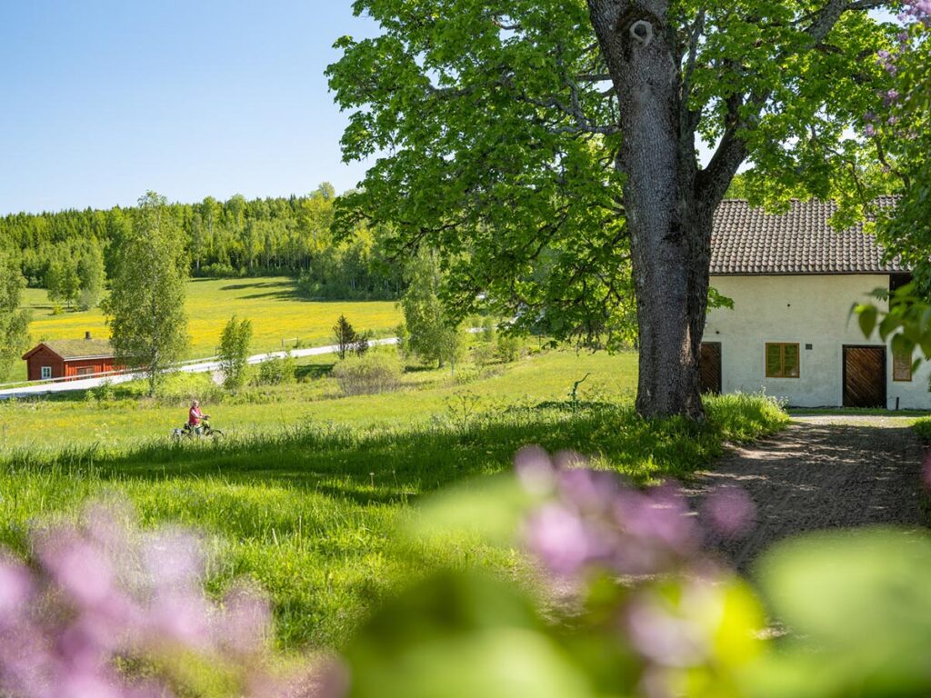 Siggebohyttan Bergsmansgård