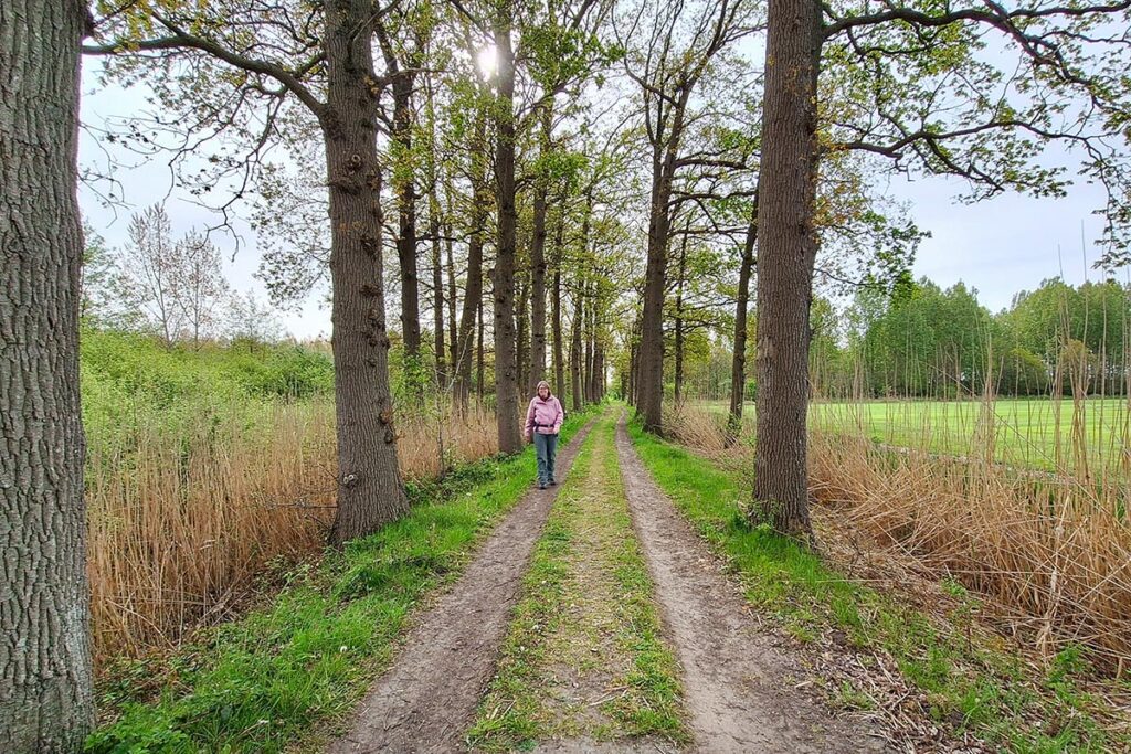 langbroek
