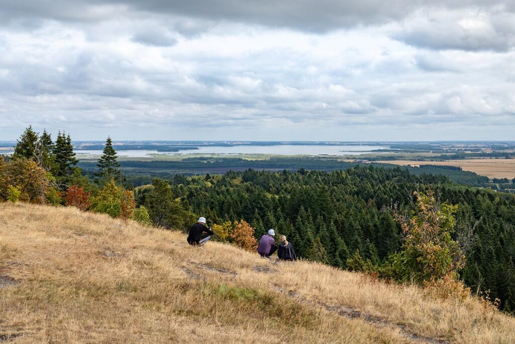 Hjässan
