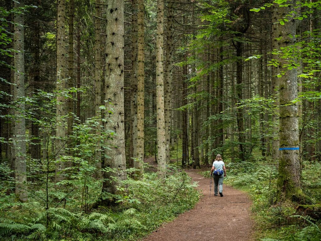 Ekopark Omberg