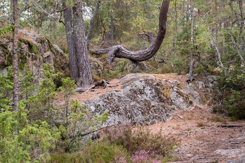 Skärmarbodabergen