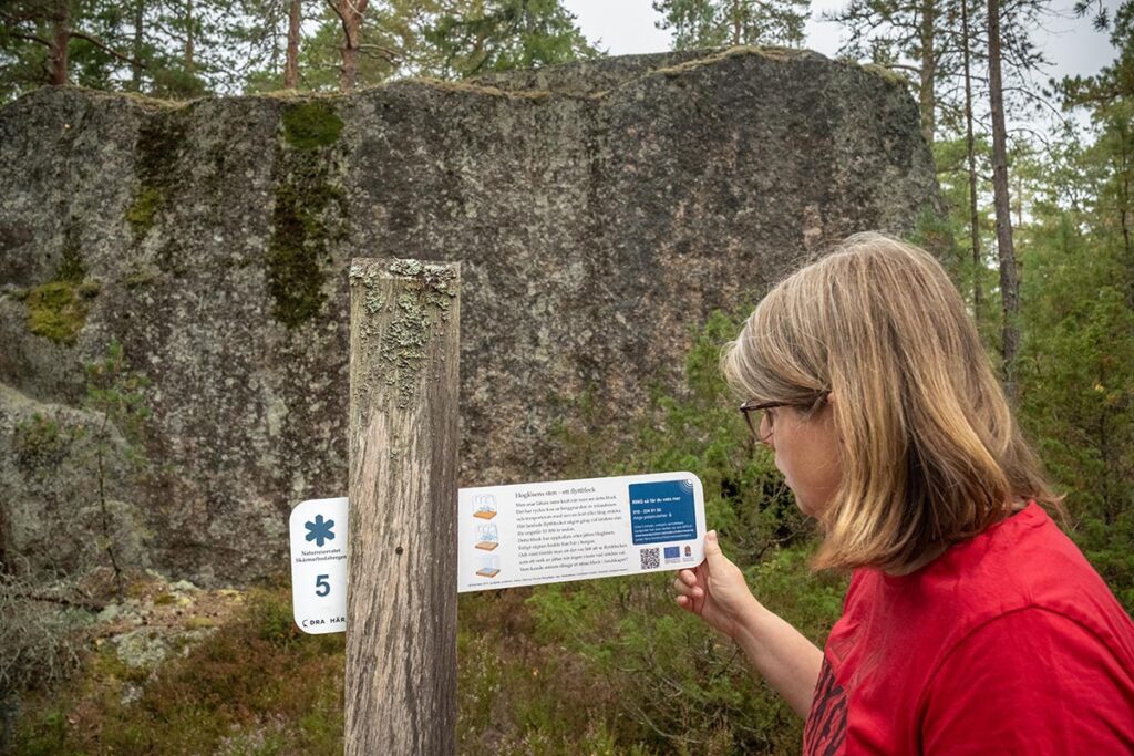 Skärmarbodabergen