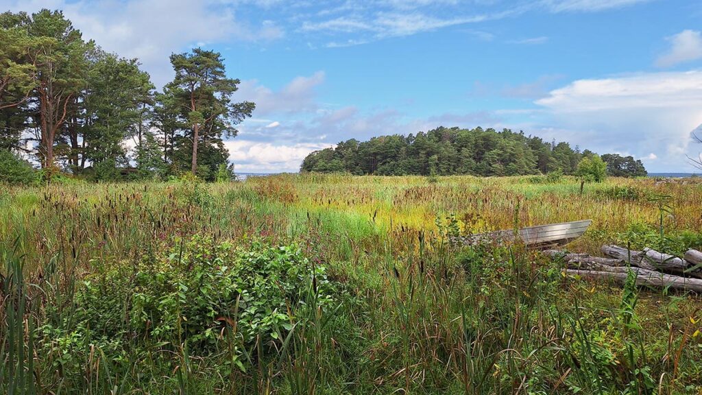 Utö