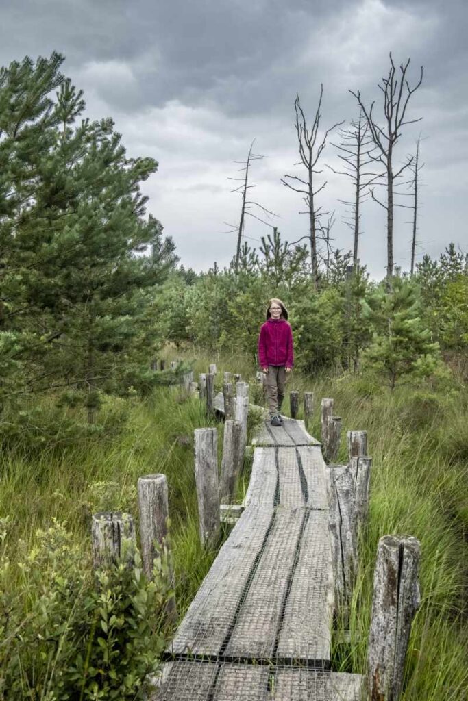 Wandelen over vlonderpaden vinden ze fantastisch
